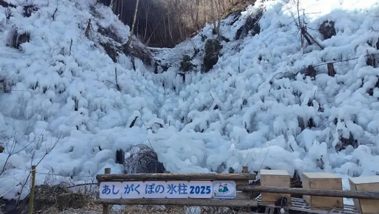 あしがくぼの氷柱